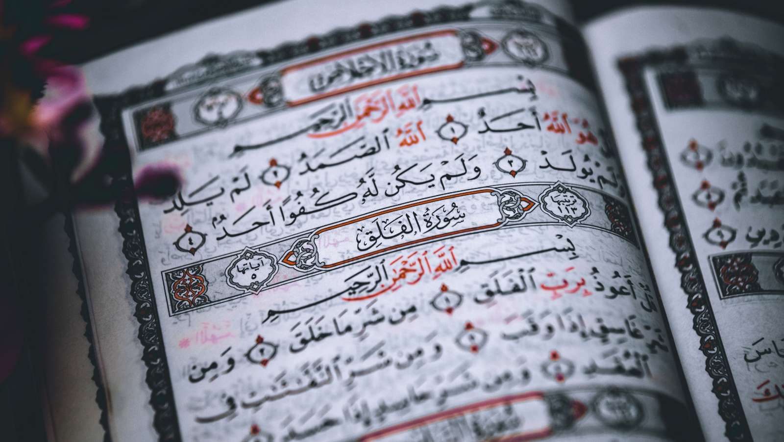 Overview of the Alim Alimah Course